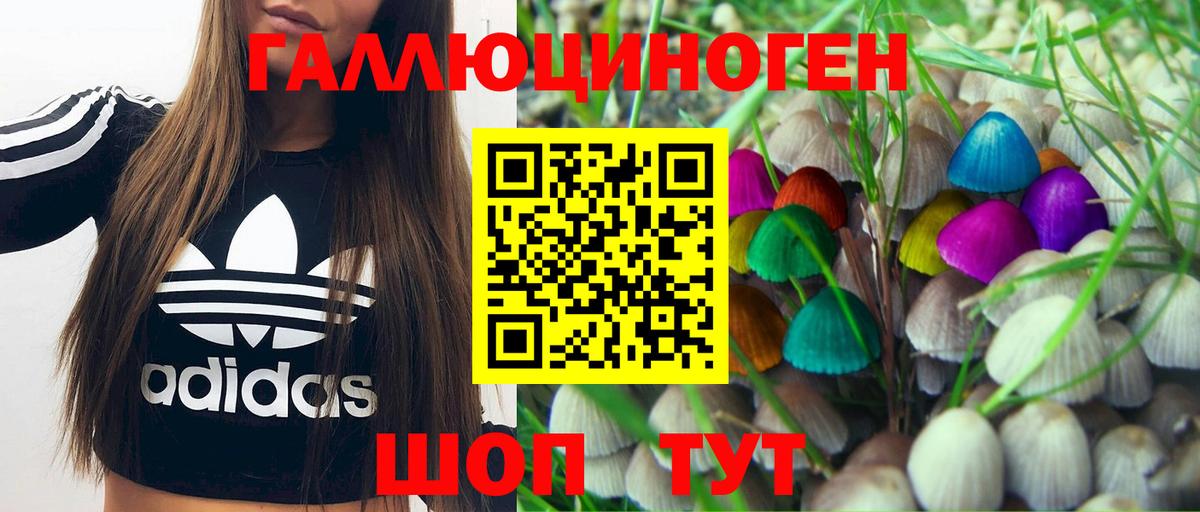Муром  Галлюциногенные грибы Psilocybe  Галлюциногенные грибы ЛСД  Вход с VPN 