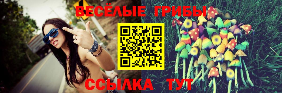 Псилоцибиновые грибы GOLDEN TEACHER Муром